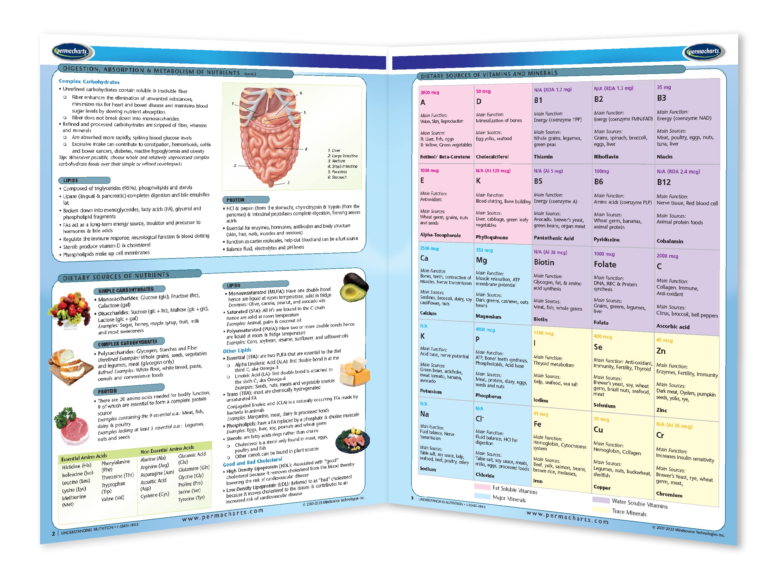 Nutrition Food Guide - 6 page laminated Quick Reference Guide ...