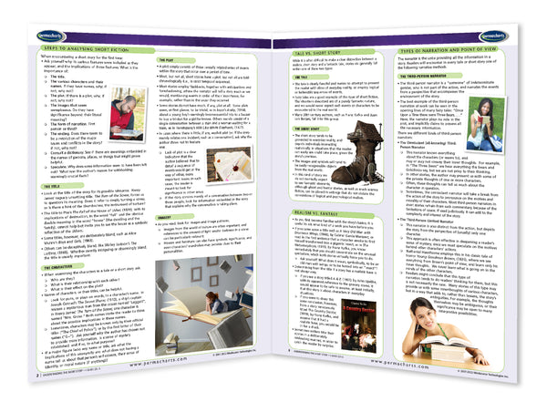 Understanding The Short Story - Literary Guide Reference Guide