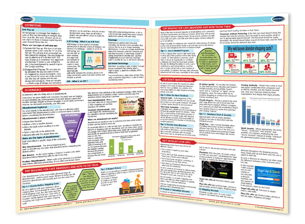 Website Abandonment in an e-Commerce Environment - Quick Reference Guide