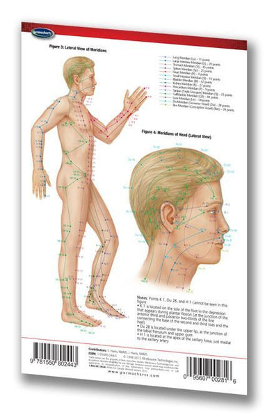 Health & Wellness - Acupuncture Points (Pocket Size)