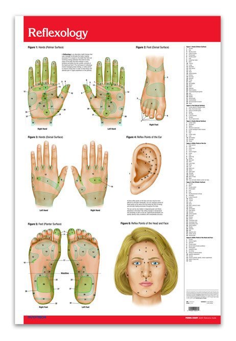 Nail Diseases Chart: Picture, Sign and Treatment
