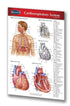 Medicine & Anatomy - Cardiorespiratory System (Pocket Size)