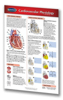 Medicine & Anatomy - Cardiovascular Physiology (Pocket Size)