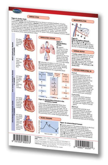 Cardiovascular Physiology nursing reference pocket chart – Permacharts.com