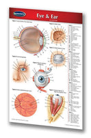 Medicine & Anatomy - Eye & Ear Medical (Pocket Size)