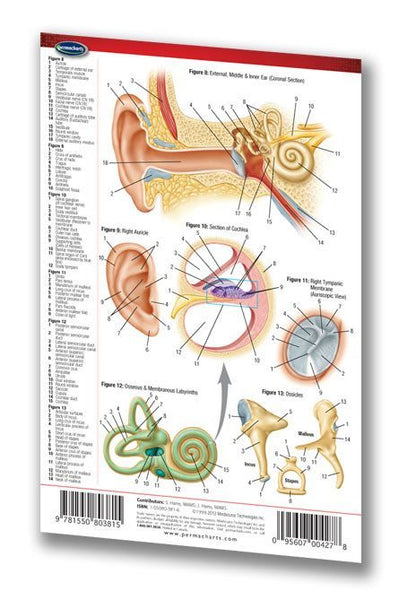 Medicine & Anatomy - Eye & Ear Medical (Pocket Size)