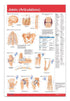 Hand - Joints Articulations Poster
