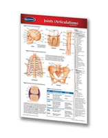 Medicine & Anatomy - Joints (Articulations) (Pocket Size)