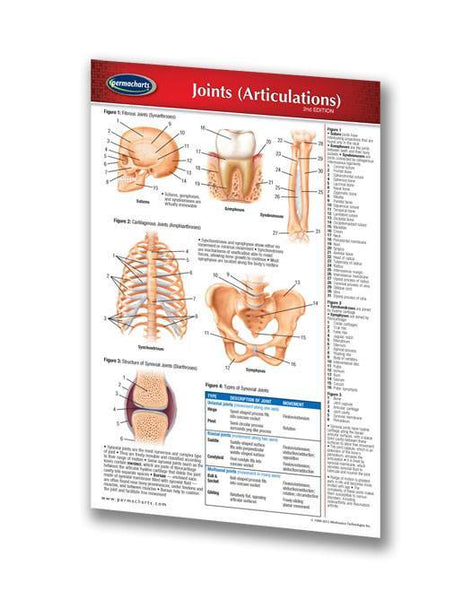 Medicine & Anatomy - Joints (Articulations) (Pocket Size)