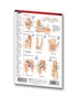 Medicine & Anatomy - Joints (Articulations) (Pocket Size)
