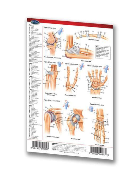 Medicine & Anatomy - Joints (Articulations) (Pocket Size)